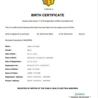 Andorra vital record birth certificate Word and PDF template download template file