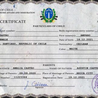 Chile vital record birth certificate PSD template download template file