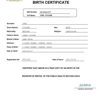 Chile vital record birth certificate Word and PDF template download template file