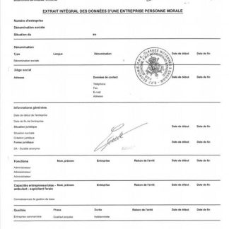 France Certificate of Good Standing download template file