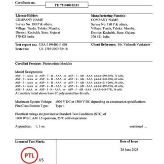 India certificate of company Word and PDF template download template file