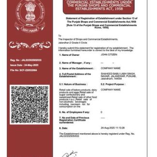 India Punjab registration certificate Word and PDF template download template file