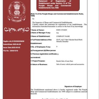 India Punjab registration certificate Word and PDF template, version 2 download template file