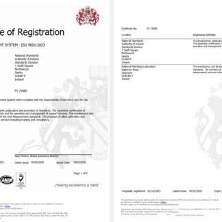 Ireland Dublin BSI certificate of registration Word and PDF template download template file