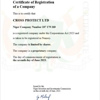 Niger business registration certificate Word and PDF template download template file