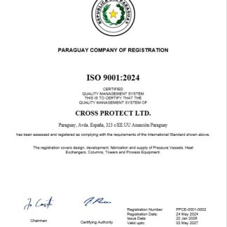 Paraguay business registration certificate Word and PDF template download template file