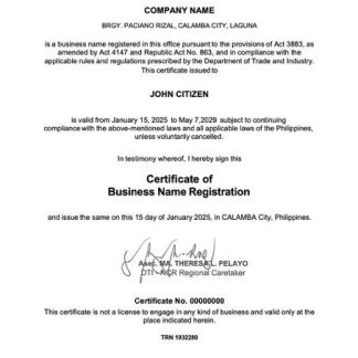 Philippines Calamba certificate of business name registration Word and PDF template download template file