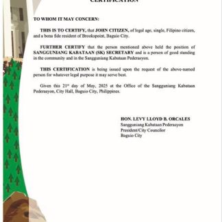 Philippines certificate of good standing Word and PDF template, version 8 download template file