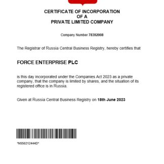 Russia business registration certificate Word and PDF template download template file