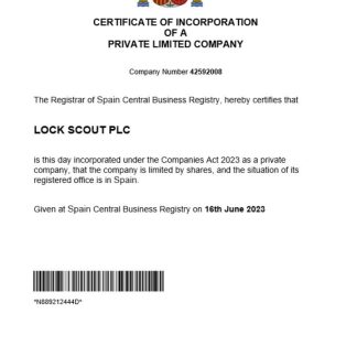 Spain business registration certificate Word and PDF template download template file