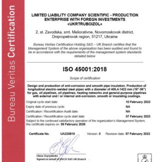 UK Bureau Veritas ceritificate of business registration Word and PDF template download template file