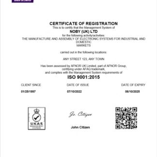UK Noby Ltd certificate of business registration Word and PDF template download template file