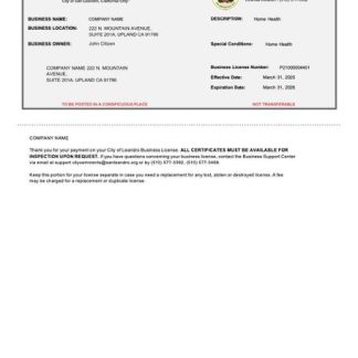 USA California business license certificate Word and PDF template download template file