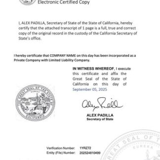 USA California electronic registration certificate Word and PDF template download template file