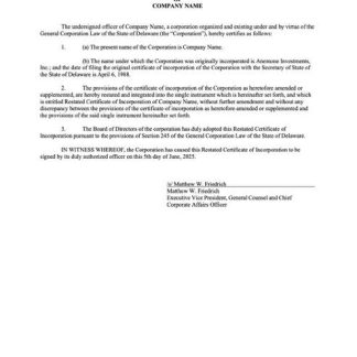 USA Delaware certificate of incorporation Word and PDF template download template file