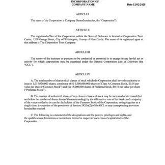 USA Delaware certificate of incorporation Word and PDF template, version 2 download template file