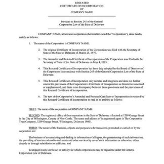 USA Delaware certificate of incorporation Word and PDF template, version 3 download template file