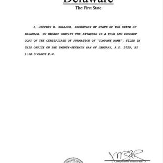 USA Delaware registration certificate Word and PDF template download template file
