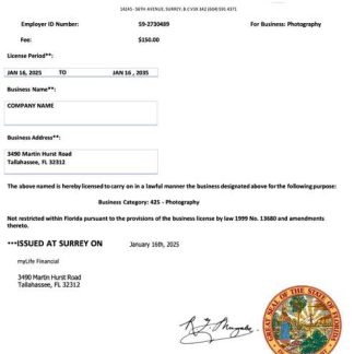 USA Florida business license Word and PDF template download template file