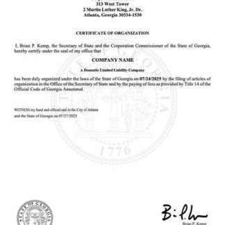 USA Georgia certificate of organization Word and PDF template download template file