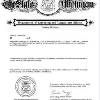 USA Michigan certificate of good standing download template file