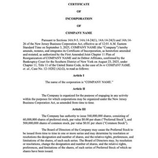 USA New Jersey certificate of incorporation Word and PDF template download template file