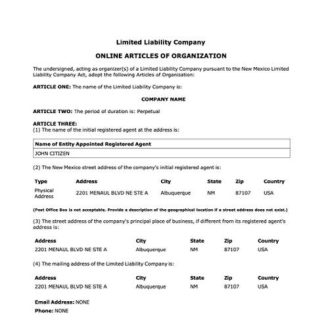 USA New Mexico?online articles of organization Word and PDF template download template file