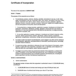 USA New York certificate of incorporation Word and PDF template download template file