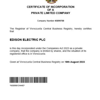 Venezuela business registration certificate Word and PDF template download template file
