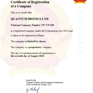 Vietnam business registration certificate Word and PDF template download template file