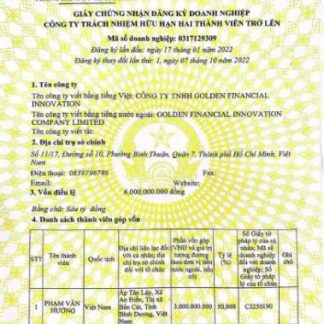 Vietnam company register entry certificate download template file