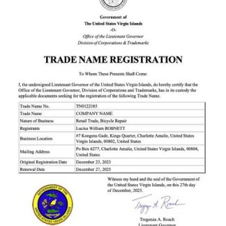 Virgin Island trade name registration certificate Word and PDF template download template file