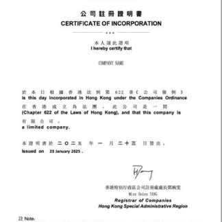 China certificate of incorporation Word and PDF template download template file