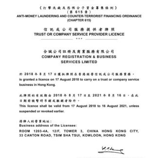 China Trust or Company Service Provider License download template file