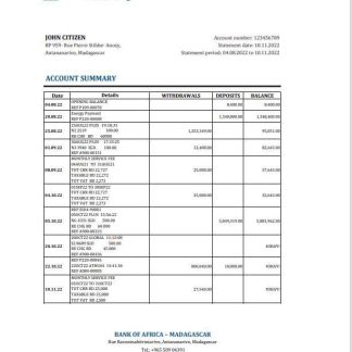Madagascar Bank of Africa bank statement Excel and PDF template download template file