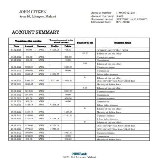 Malawi NBS bank statement download template file