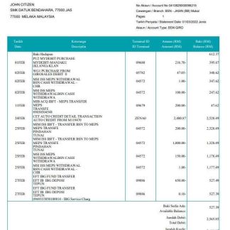 Malaysia BSN bank statement download template file