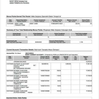 Malaysia CIMB Islamic Bank statement of account Word and PDF template download template file