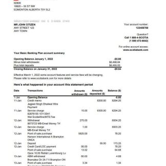 Australia Scotiabank statement 2 pages xls download template file