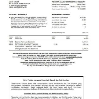 Malaysia Public bank statement download template file