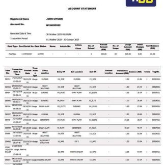Malaysia Touch'n Go account statement Word and PDF template download template file