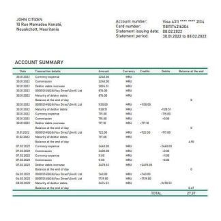 Mauritania BNP Paribas bank statement template in Word and PDF format download template file
