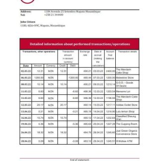 Mozambique ABSA bank statement Excel and PDF template download template file