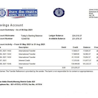 Nepal Bank Nepal statement download template file