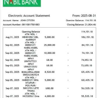 Nepal Nabil Bank electronic account statement Word and PDF template download template file