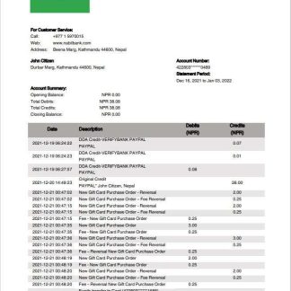 Nepal Nabil Bank statement download template file