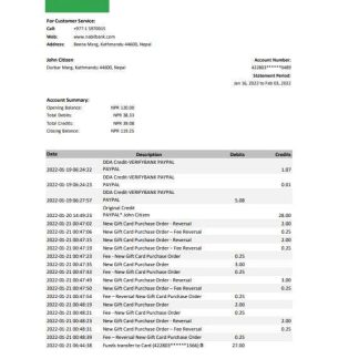 Nepal Nabil bank statement Excel and PDF template download template file