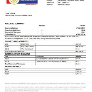 Nepal Rastriya Banijya Bank statement download template file