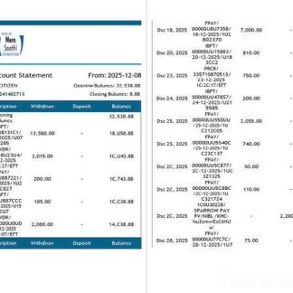 Nepal SBI Bank electronic account statement Word and PDF template, 2 pages download template file