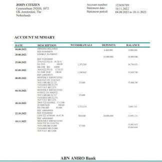 Netherlands ABN AMRO bank statement download template file